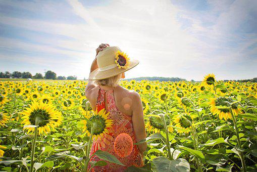 woman-sunflowers3640935__340